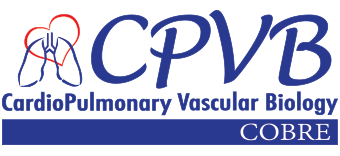 Ocean State Research Institute